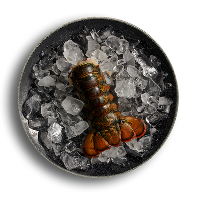 Lobster Tail, Shell On (3oz, 2pcs)